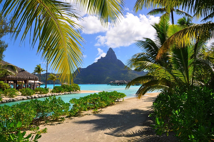 palme, Bora Bora, resort, spiaggia, tropicale, Polinesia francese, montagne, palme, mare, estate, natura, paesaggio, nuvole, arbusti, Sfondo HD