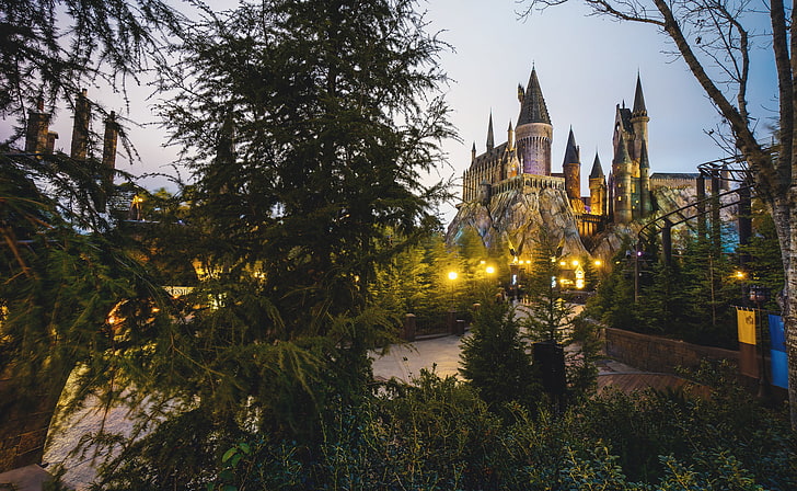 edifício de concreto marrom e preto, castelo, torre, Hogwarts, mundo mágico de Harry Potter, HD papel de parede
