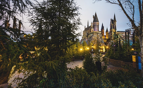 edificio in cemento marrone e nero, castello, torre, Hogwarts, mondo magico di Harry Potter, Sfondo HD HD wallpaper