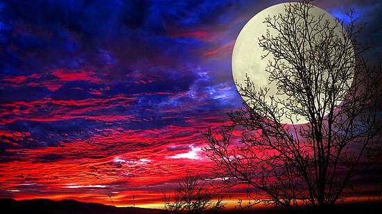 super lua, lua, lua cheia, céu, noite, céu noturno, fantasia, HD papel de parede HD wallpaper
