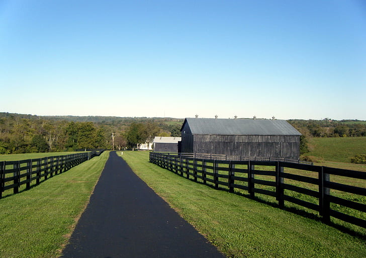 Кентукки Конная ферма, конная ферма, амбары, сельская, Кентукки, HD обои
