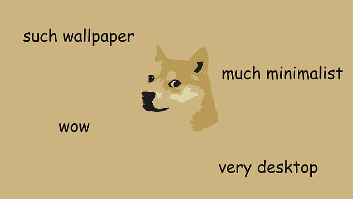 Humor, Doge, HD wallpaper
