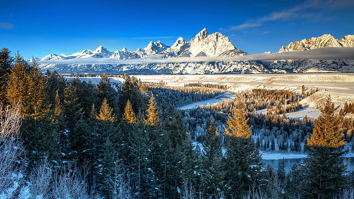 brązowe sosny, natura, krajobraz, drzewa, las, Park Narodowy Yellowstone, Wyoming, USA, zima, śnieg, góry, wzgórza, chmury, rzeka, światło słoneczne, Tapety HD