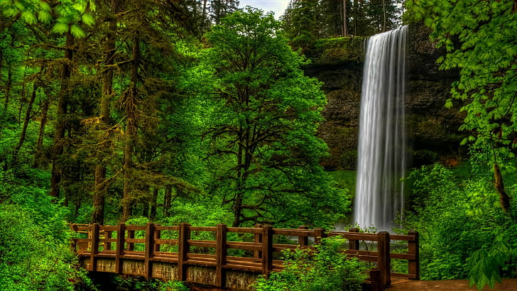 Водопад в зеленом лесу, Природа, вид, деревья, лес, парк, мост, водопад, вода, пейзаж, декорации, HD обои