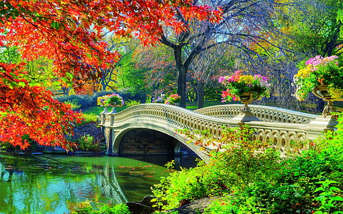 Broar, bro, Central Park, blomma, trädgård, konstgjorda, vår, träd, vit, HD tapet HD wallpaper