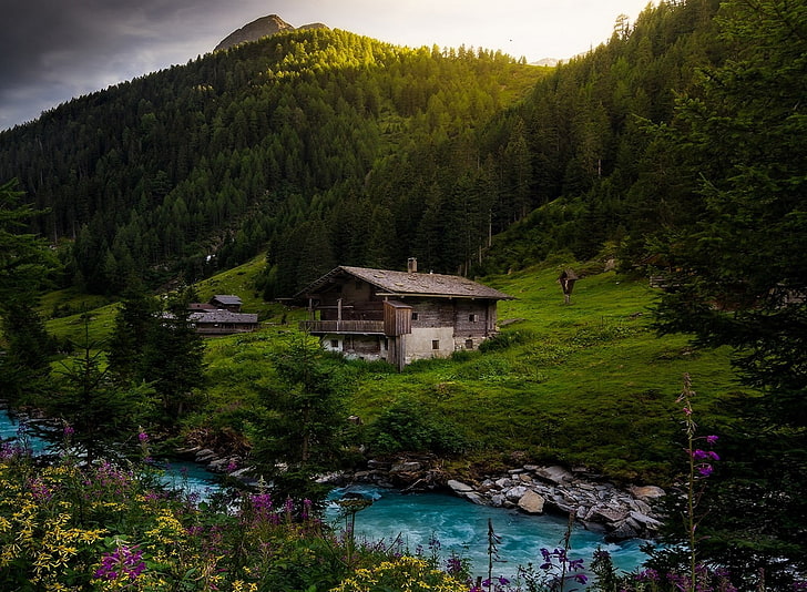 brown wooden shack, nature, landscape, river, cottage, forest, Alps, wildflowers, Austria, mountains, spring, trees, water, green, turquoise, HD wallpaper