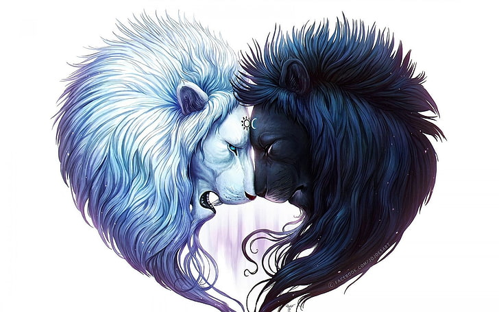 illustration de lions blancs et noirs, Chats, Lion, Artistique, Noir, Noir & Blanc, Blanc, Yin et Yang, Fond d'écran HD