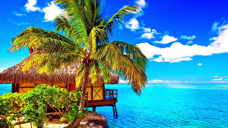 palm, blue sky, summer, island, moorea island, moorea, tahiti, french polynesia, tourism, leisure, nature, sea, water, resort, vacation, bungalow, palm tree, sky, caribbean, tropics, HD wallpaper