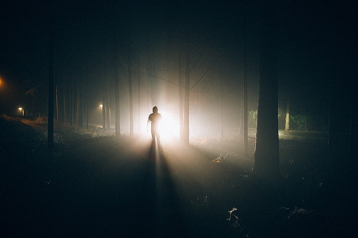 силуэт человека, стоящего между высокими деревьями цифровых обоев, Alone in the Dark, огни, тень, ночь, изоляция, HD обои