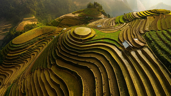 paisagem, mu cang chai, terraço, terraços de arroz, terraços, agricultura, colheita, ásia, vietnã, iene bai, HD papel de parede
