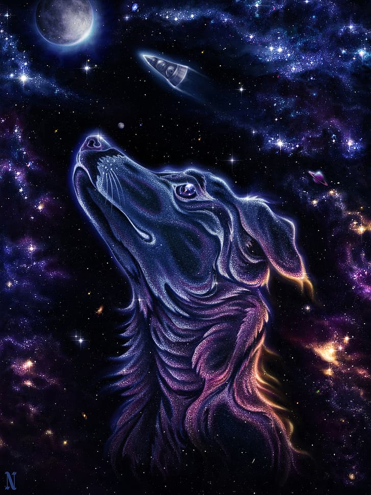 Лайка, собака, животные, космос, космическое искусство, вселенная, спутник, космическое путешествие, космический шаттл, портрет, иллюстрация, HD обои, телефон обои