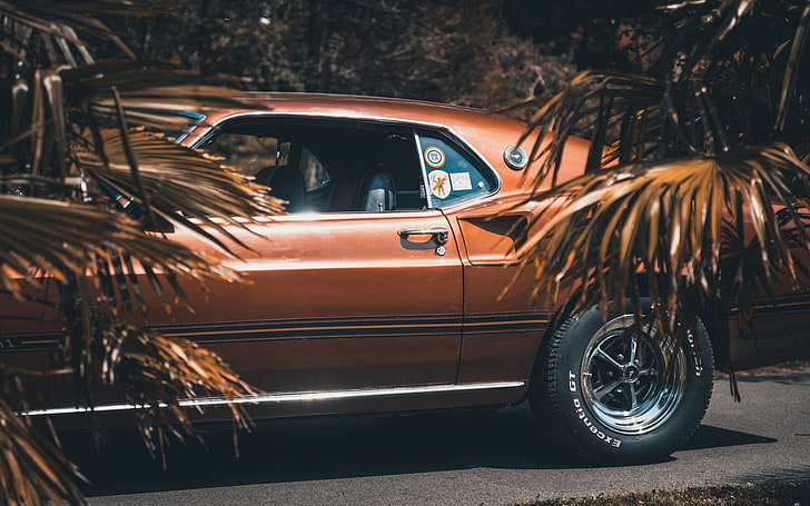brązowe coupe, ford mustang, 1969, widok z boku, koło, Tapety HD
