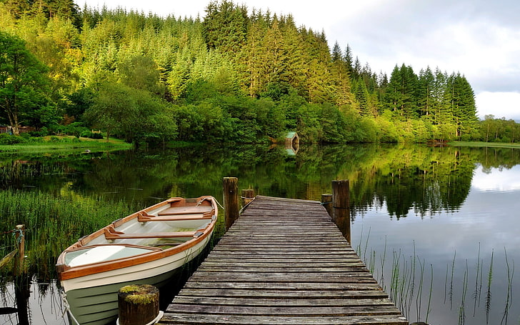 szaro-biała łódź wiosłowa, przyroda, jezioro, las, łódź, Tapety HD