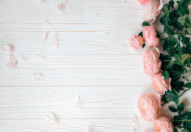 flowers, pink, wood, peonies, HD wallpaper
