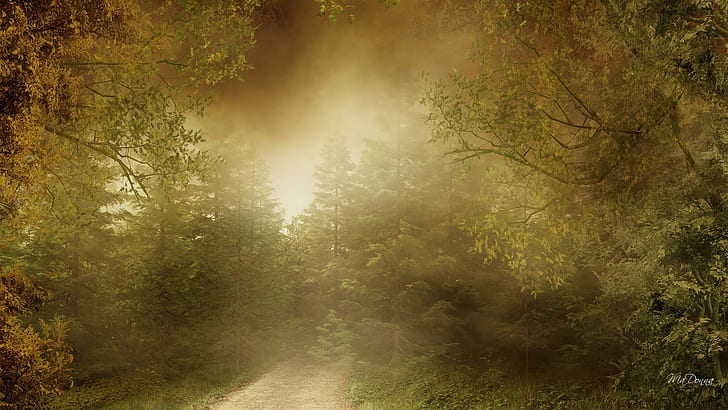 Matin d'automne brumeux, chemin de terre gris entre les arbres verts, brumeux, chemin, brume, obsédant, automne, voie, vert, arbres, forêt, route, brumeux, lumière, étrange, autum, Fond d'écran HD
