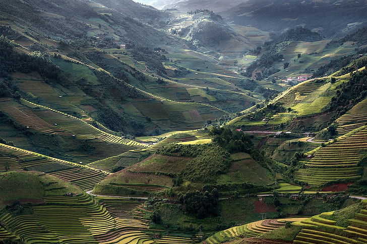 природа, село, планини, тераси, Виетнам, ориз, зеленина, слънчева светлина, дървета, пейзаж, път, поле, HD тапет