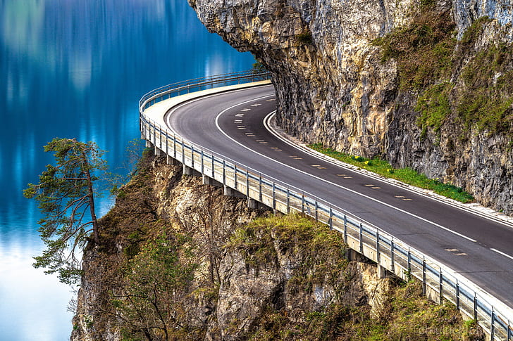 road, rock, lake, tree, Switzerland, pine, Lake Thun, Thunersee, HD wallpaper