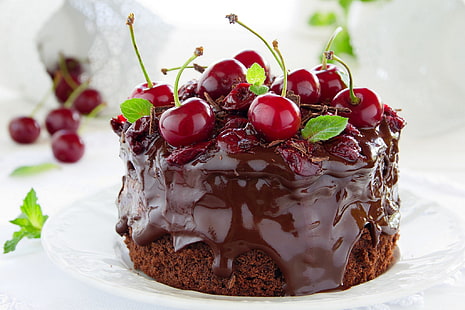 chocolate covered cake, food, chocolate, cake, cream, dessert, cherry, sweet, cherries, HD wallpaper HD wallpaper