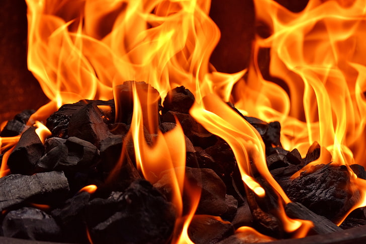 queima de carvão, fogueira, fogo, chama, carvão, HD papel de parede