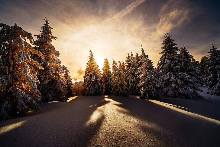 invierno, nieve, árboles, paisaje, puesta de sol, naturaleza, comió, sombras, Robert Didierjean, Fondo de pantalla HD