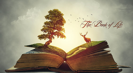 Book of Life, The Book of Life, Aero, Creativo, vita, libri, paradiso, creatività, manipolazione, Photoshop, cervo, Sfondo HD HD wallpaper