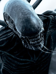 4k, HD, извънземен, Alien: Covenant, чудовище, най-добри филми, HD тапет HD wallpaper