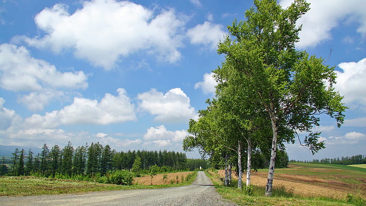 hd hokkaido Hokkaido Landscape 5 - HQ Nature Fields HD Art ، المناظر الطبيعية ، HD ، HQ ، هوكايدو، خلفية HD