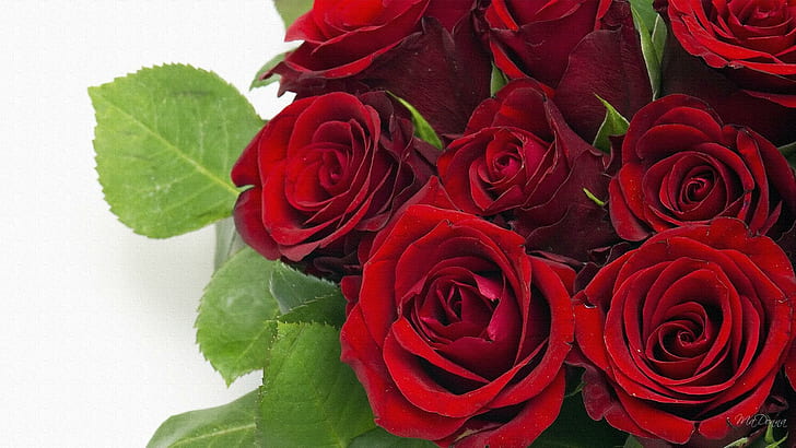 Rose rosse rosse, bouquet di fiori di rose rosse, bouquet, amore, giorno di san valentino, rosa, matrimonio, anniversario, fiori, 3d e astratto, Sfondo HD