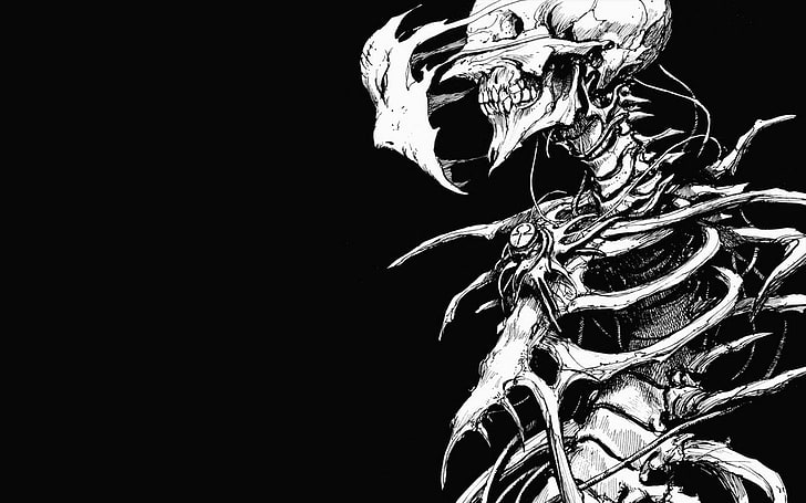 scheletro umano carta da parati digitale, teschio, viso, ossa, disegno, Biomega, Sfondo HD