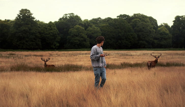 Männer, draußen, Tiere, Hirsche, Feld, trockenes Gras, HD-Hintergrundbild