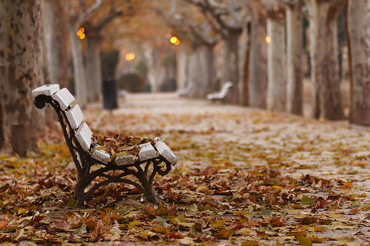 ブラックメタルベースホワイト木製ガーデンベンチ、秋、公園、ベンチ、葉、 HDデスクトップの壁紙