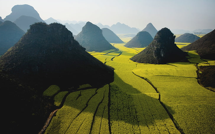 bukit hitam, pemandangan, rapeseed, bukit, alam, Cina, kabut, sinar matahari, Wallpaper HD