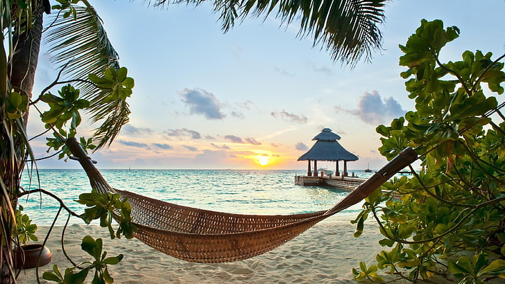 tropics, sky, resort, sea, hammock, palm tree, caribbean, vacation, leisure, tree, tourism, ocean, morning, sunrise, exotic, beach, HD wallpaper