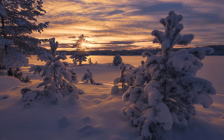 ノルウェー、冬、厚い雪、木、日没、ノルウェー、冬、厚い、雪、木、日没、 HDデスクトップの壁紙