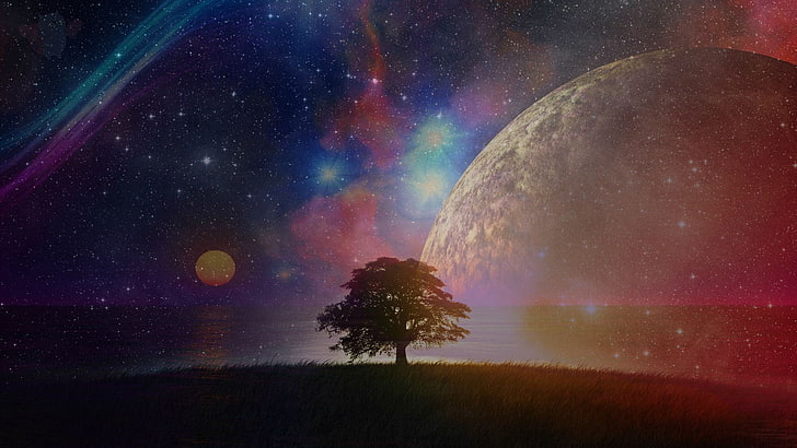tree and galaxy illustration, nebula, HD wallpaper