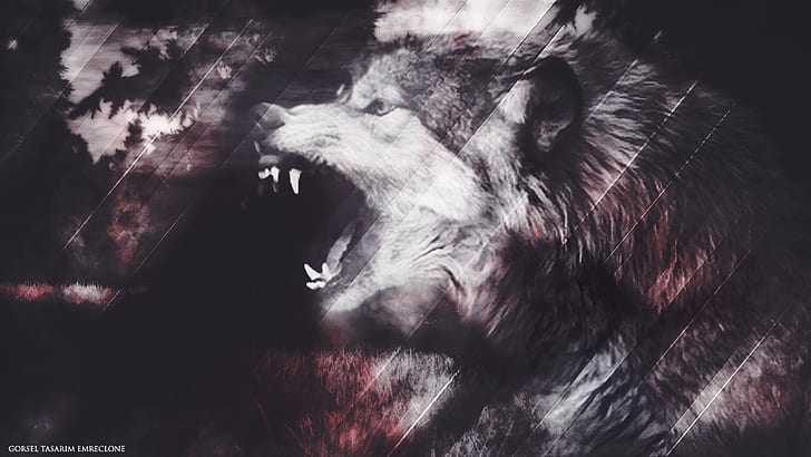 wolf, Lycan, HD wallpaper