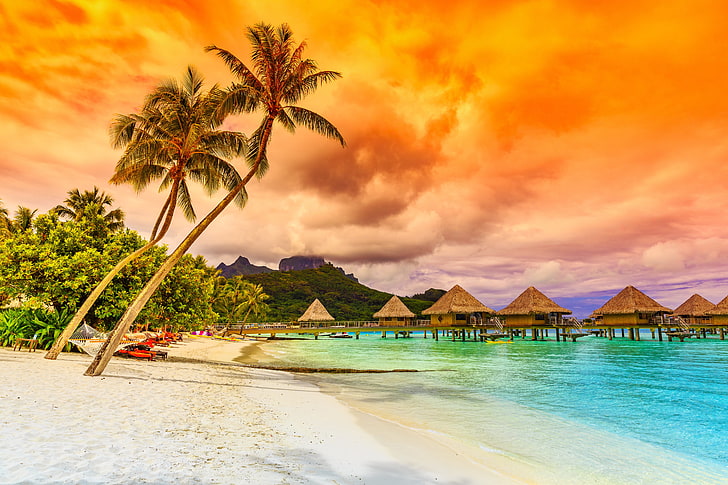 drzewa kokosowe, piasek, morze, plaża, zachód słońca, palmy, brzeg, raj, tropikalny, Tapety HD
