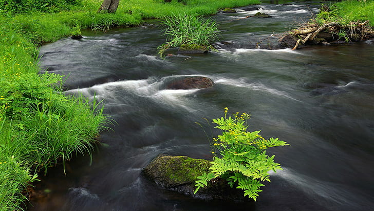 الطبيعة والمياه والمناظر الطبيعية والنهر، خلفية HD