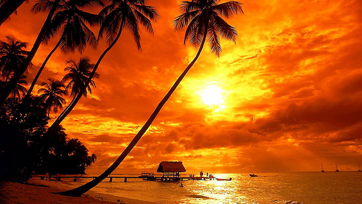 арекали, палми, палма, тринидад и тобаго, тобаго, карибски острови, плаж, бряг, здрач, вечер, небе, слънце, палмово дърво, гълъбова точка, гълъбова плажна ивица, тропици, море, последващо светене, залез, HD тапет