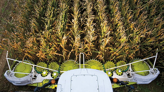 pertanian, petani, Claas, traktor, kendaraan pertanian, Wallpaper HD HD wallpaper
