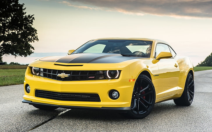 yellow Chevrolet Camaro coupe, chevrolet, camaro, 1le, yellow, front, muscle car, road, tree, sky, HD wallpaper