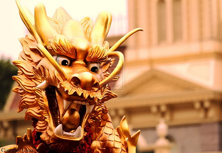 золотая статуя дракона, китайский дракон, дракон, статуя, культура, HD обои