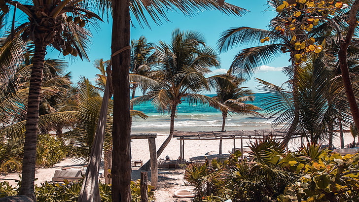 休暇、海岸、海岸線、プラヤ、ビーチ、海、カリブ海、sumertime、メキシコ、観光、木、空、トゥルム、リゾート、植物、熱帯地方、ヤシの木、アレカレス、水、 HDデスクトップの壁紙