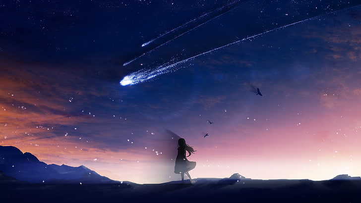 аниме девушка, падающие звезды, живописные, птицы, небо, пейзаж, аниме, HD обои
