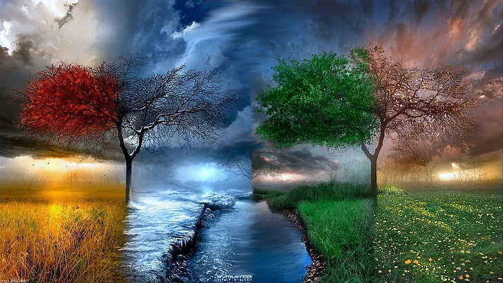 seasons, Spring, summer, winter, HD wallpaper