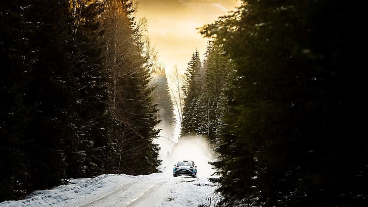 wrc, Rally, Svezia, Ford Fiesta RS WRC, 2020 (anno), M-Sport, Sfondo HD