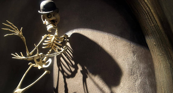 brown human skeleton, Halloween, skeleton, hat, sunlight, Corpse Bride, HD wallpaper HD wallpaper