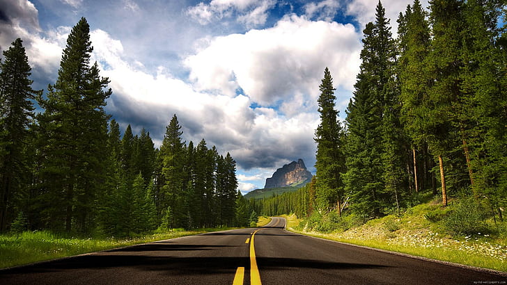 Moutain road, road way surrounded by trees, landscape, road, forest, cloud, HD wallpaper