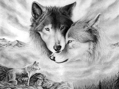 esboço de dois lobos, olhar, amor, ternura, figura, par, lobos, HD papel de parede HD wallpaper