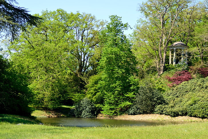 เดลเดน, ธรรมชาติ, เนเธอร์แลนด์, สวนสาธารณะ, ต้นไม้, วอลล์เปเปอร์ HD